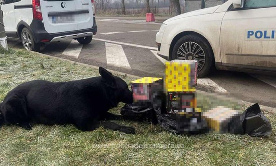 Obiecte pirotehnice găsite în PTF Siret cu ajutorul câinelui Nero