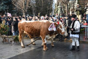 Festivalul Obiceiurilor de Iarnă de la Suceava