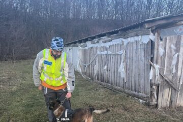 Cainele politist Coh si instructorul său