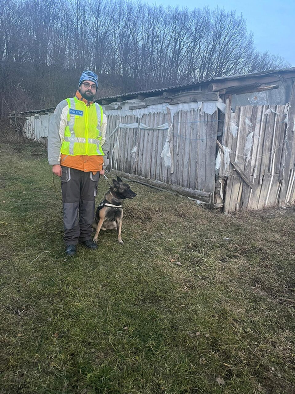 Un tânăr care a încercat să se sinucidă, salvat cu ajutorul câinelui polițist Coh