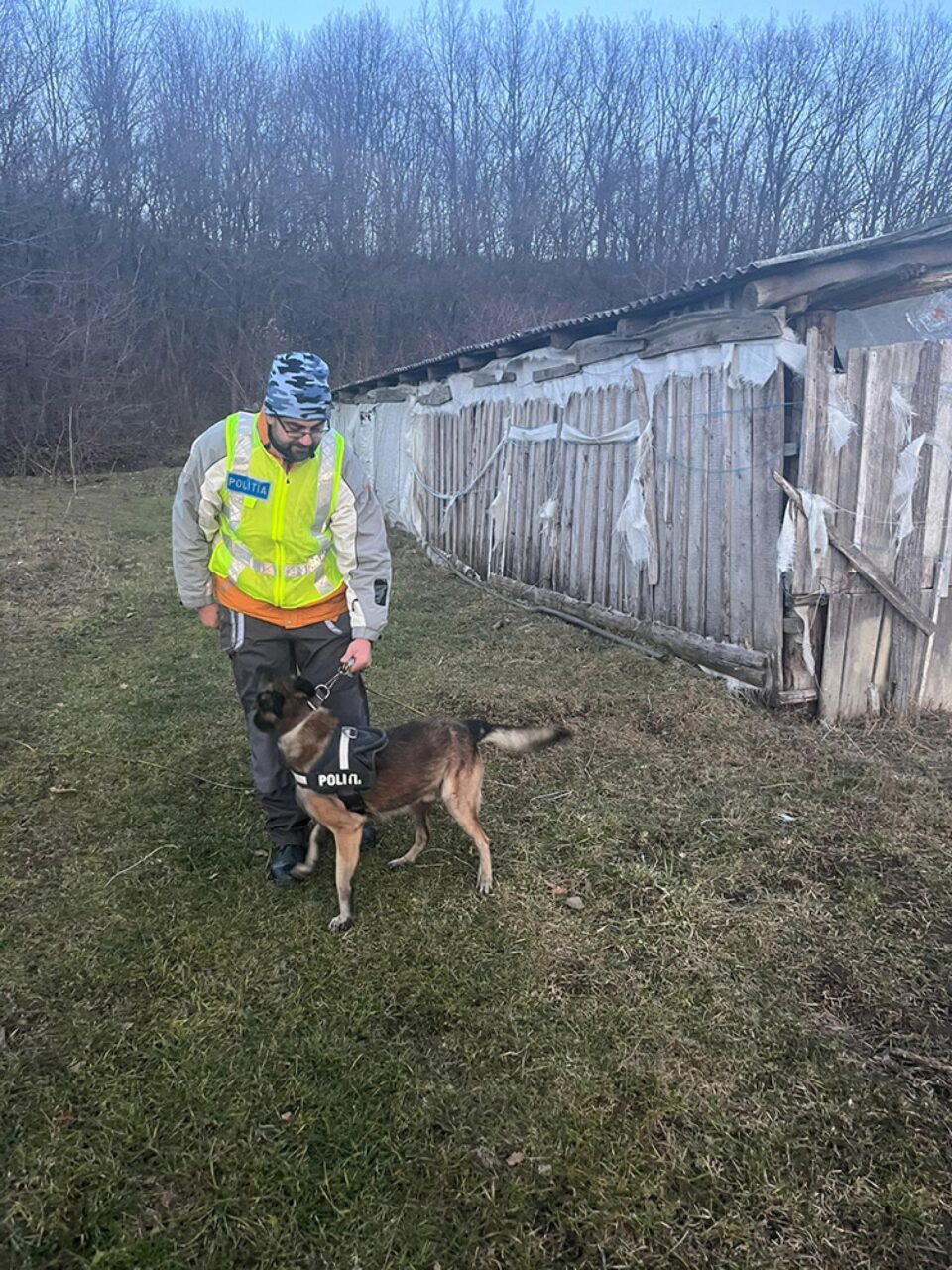 Un tânăr care a încercat să se sinucidă, salvat cu ajutorul câinelui polițist Coh