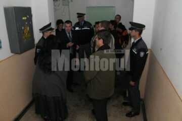 Acțiune în forță: Câinii care terorizau un bloc întreg, ridicați cu forța de Primărie