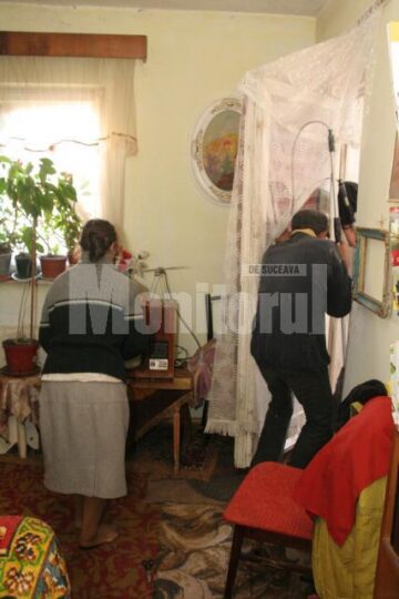 Acțiune în forță: Câinii care terorizau un bloc întreg, ridicați cu forța de Primărie