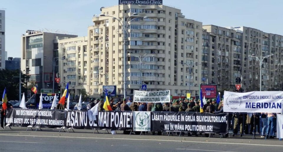 Protest al silvicultorilor în Capitală
