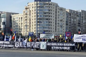 Protest al silvicultorilor în Capitală
