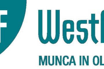 Pentru biroul nostru din Suceava, Westflex caută un nou coleg
