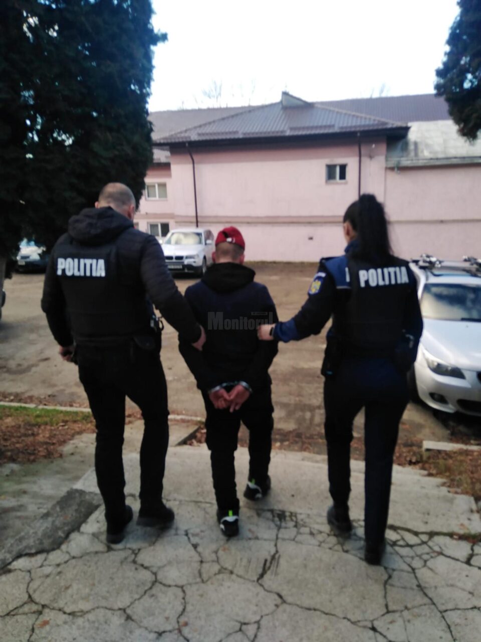 Tanarul retinut de politisti pentru cruzime și sadism fata de animale