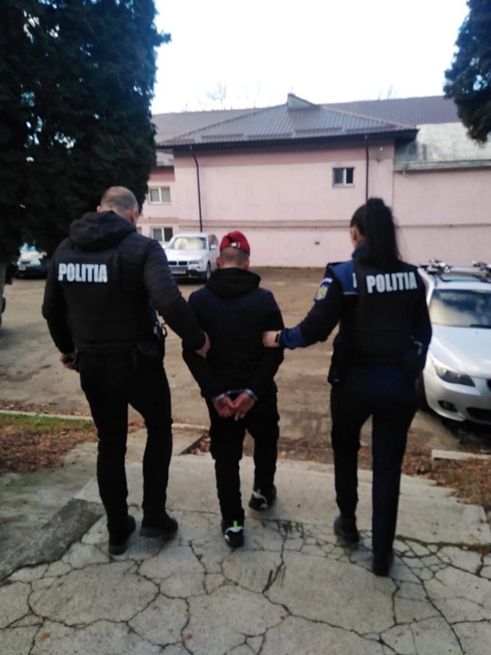 Tânărul reținut de polițiști pentru cruzime și sadism față de animale