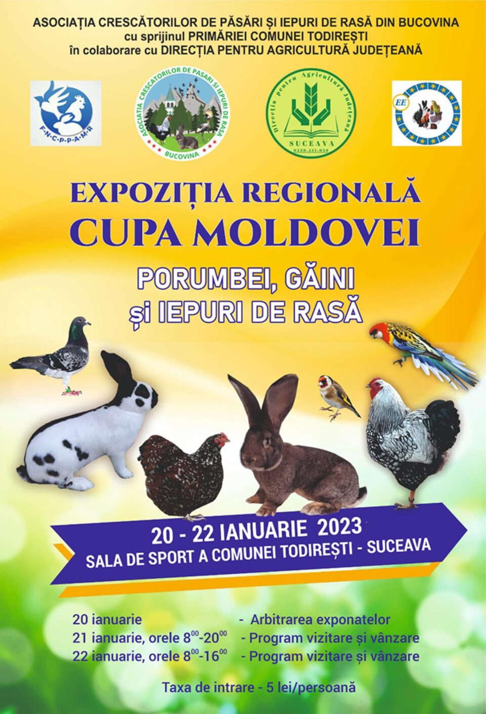 Sala de sport din Todirești va găzdui o expoziție regională de iepuri, porumbei și găini