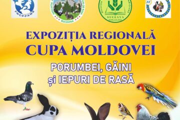 Sala de sport din Todirești va găzdui o expoziție regională de iepuri, porumbei și găini