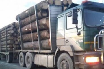 Daniel Bodnar a adus în atenție problemele legate de transportul auto al masei lemnoase