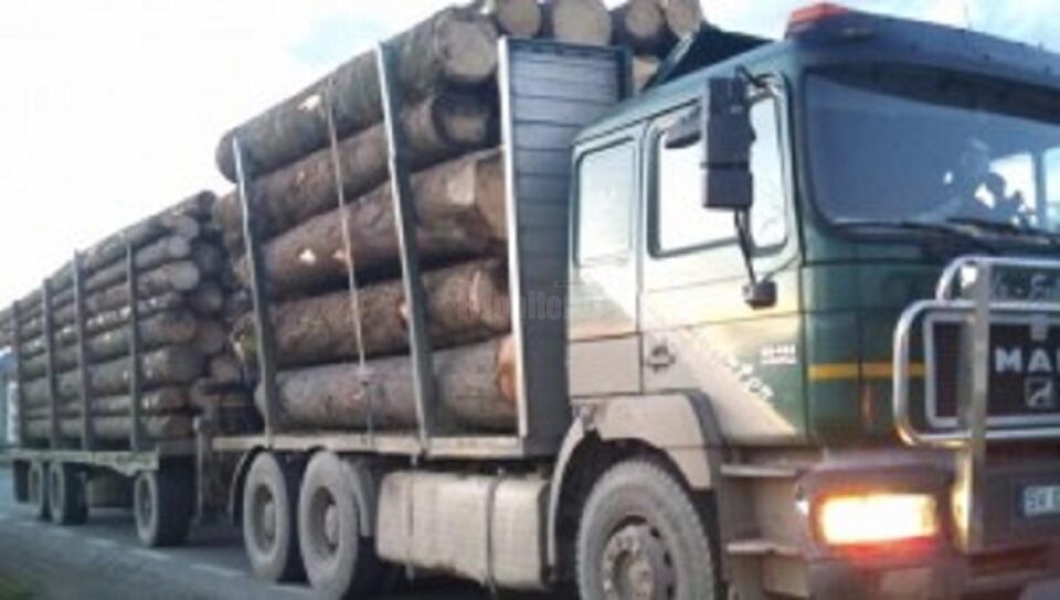 Daniel Bodnar a adus în atenție problemele legate de transportul auto al masei lemnoase Daniel Bodnar a adus în atenție problemele legate de transportul auto al masei lemnoase