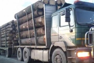 Daniel Bodnar a adus în atenție problemele legate de transportul auto al masei lemnoase