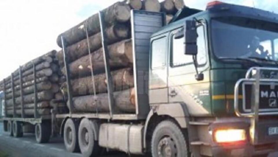 Daniel Bodnar a adus în atenție problemele legate de transportul auto al masei lemnoase
