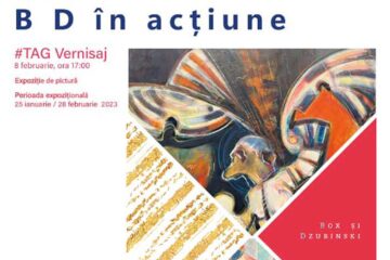 „Box și Dzubinski în acțiune”, la Galeria de Artă a USV