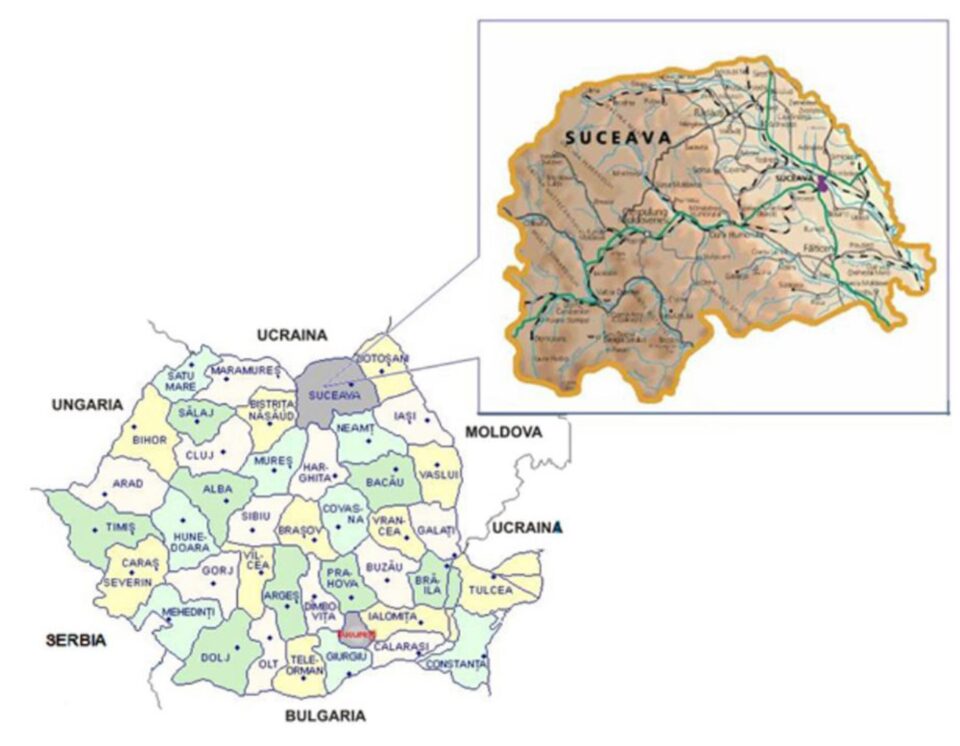 Populația județului Suceava crește, chiar de populația României scade puternic