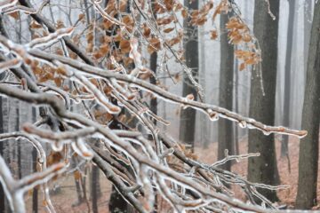 Frig de crapă pietrele, cu temperaturi de până la minus 20 de grade Celsius, până vineri inclusiv
