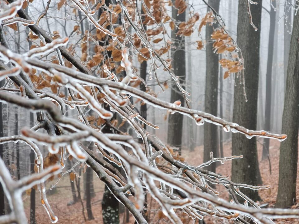 Frig de crapă pietrele, cu temperaturi de până la minus 20 de grade Celsius, până vineri inclusiv