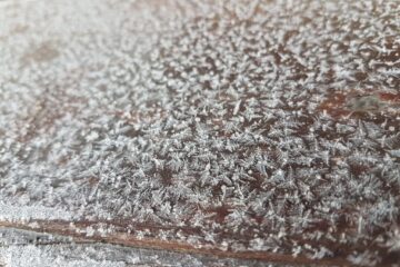Temperaturi de până la minus 20 de grade Celsius înregistrate la Rădăuți și Suceava, în prima noapte de cod galben de ger
