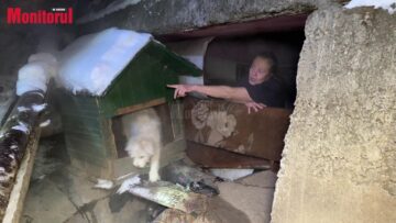 Un cuplu și cățelul lor și-au găsit adăpost într-un canal de pe Calea Unirii