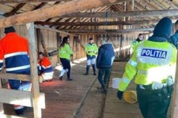 Bărbatul a fost găsit spânzurat în Pasul Palma, într-un saivan de lemne