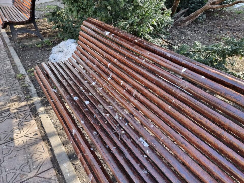 Băncile din parcuri, acoperite de găinaț, după ce un stol imens de ciori a poposit prin Suceava