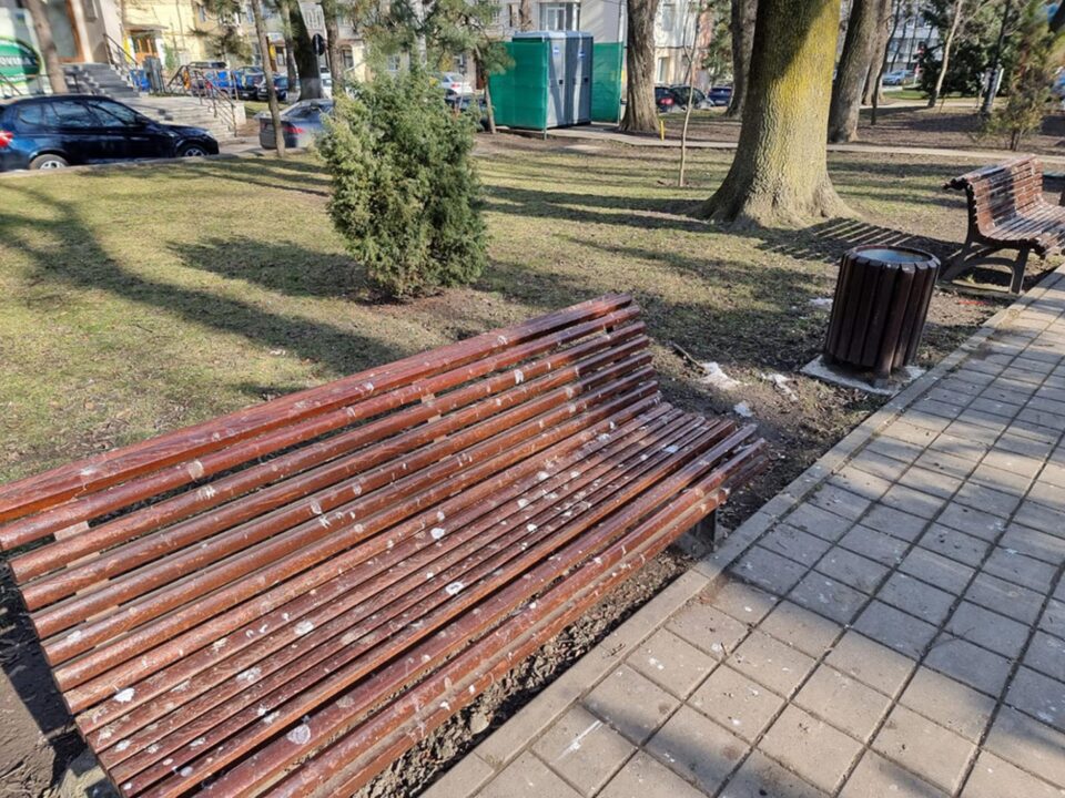 Băncile din parcuri, acoperite de găinaț, după ce un stol imens de ciori a poposit prin Suceava