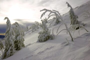 Cod portocaliu de vânt puternic și viscol în zona de munte a județului Suceava