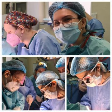 Echipele implicate atât în prelevarea, cât și în transplantarea organelor
