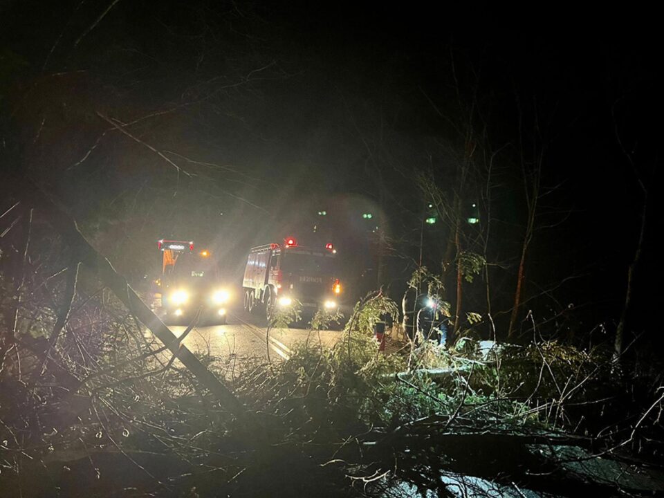 Căderi de arbori pe carosabil, în zona de munte a județului