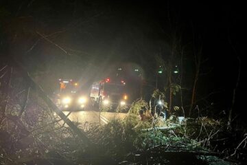 Căderi de arbori pe carosabil, în zona de munte a județului