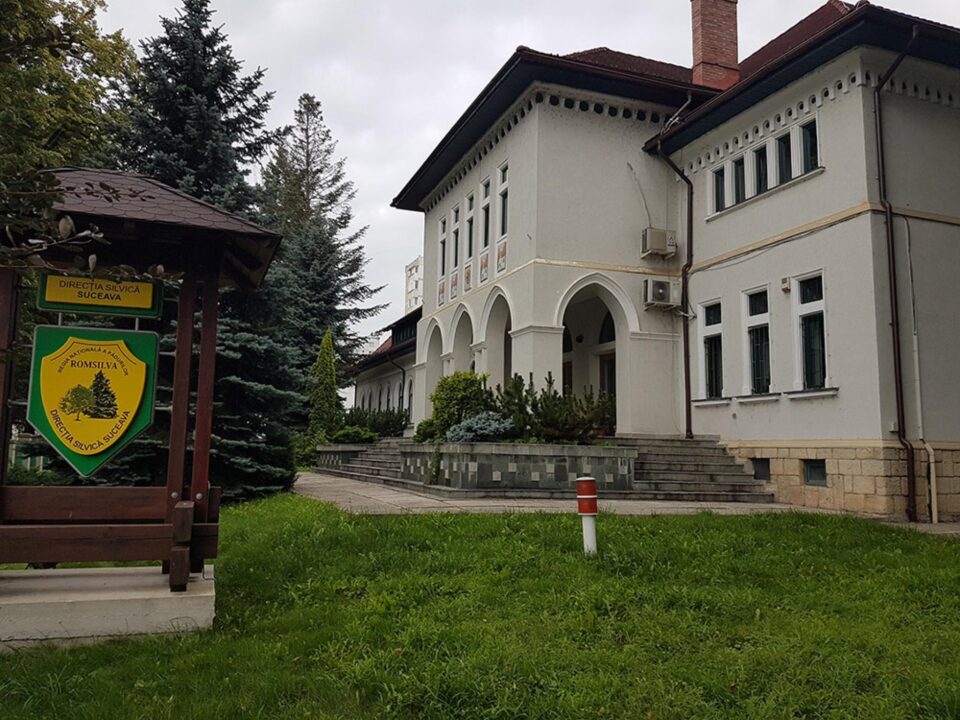 Direcția Silvică Suceava