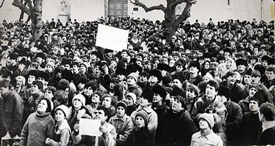 „Coșul de la IFA”