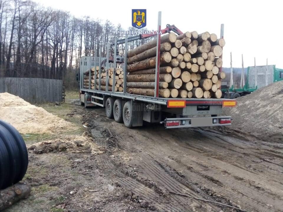 Autotrenul cu lemne plecat de la Mălini, oprit la Piatra Neamț și readus în județul nostru pentru inventariere