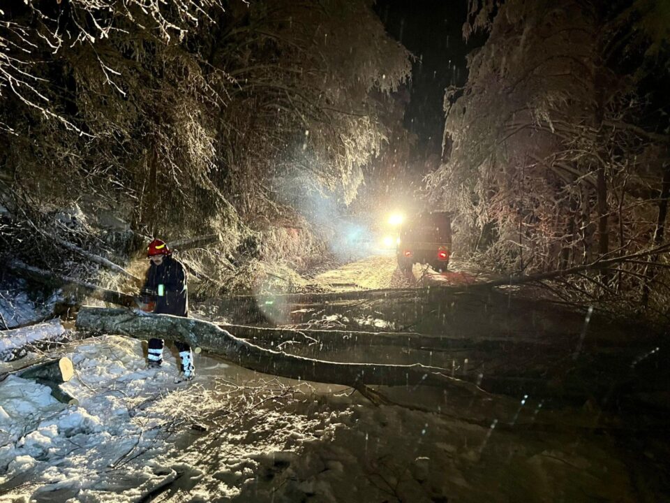 Arbori căzuți la Crucea