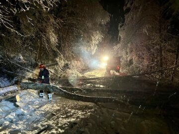 Zeci de arbori au fost puși la pământ de vânt și zăpada grea
