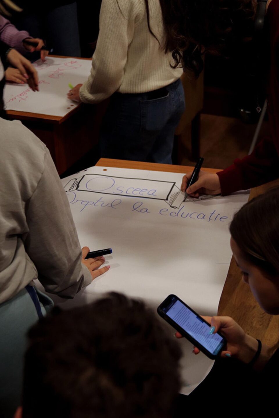 Instruire privind reprezentarea elevilor din județ, la Colegiul Național „Ștefan cel Mare”