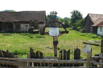 Vițel tăiat și revoluție