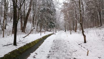 Parcul Șipote