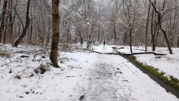 Parcul Șipote
