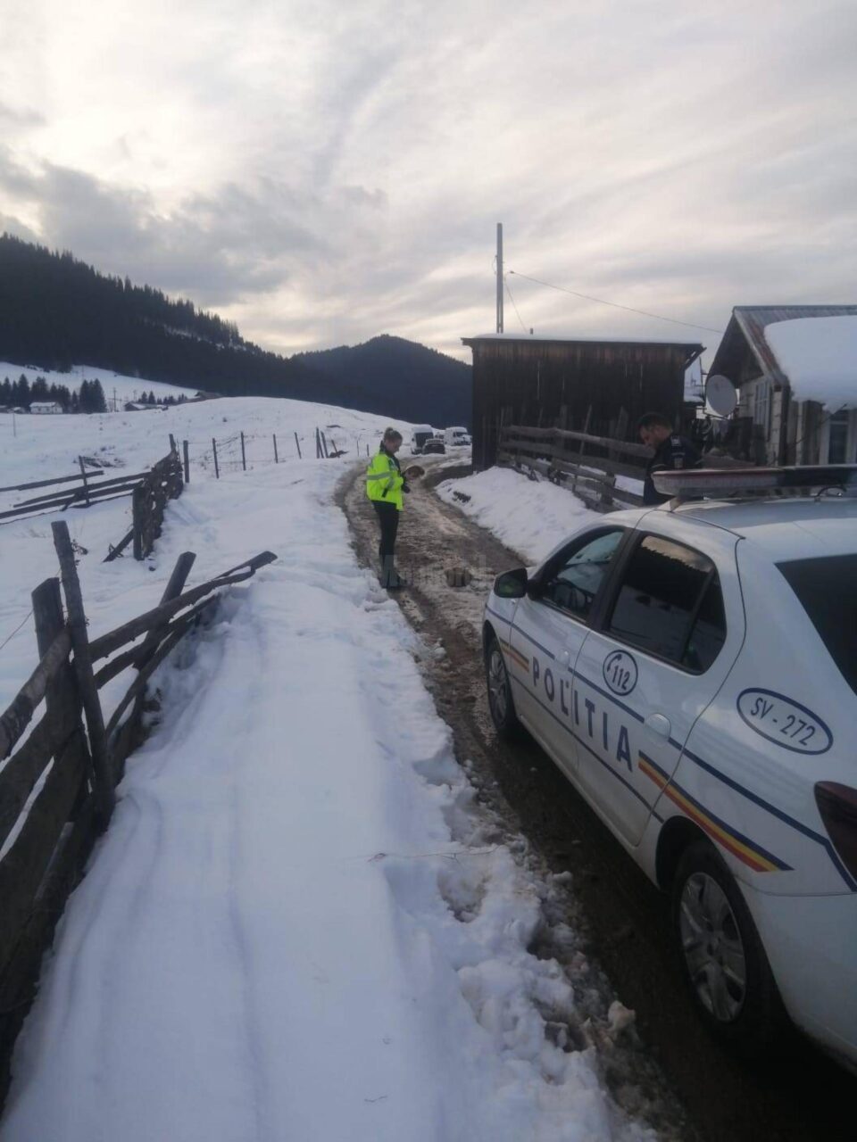 Cainele a fost găsit în mijlocul unui drum