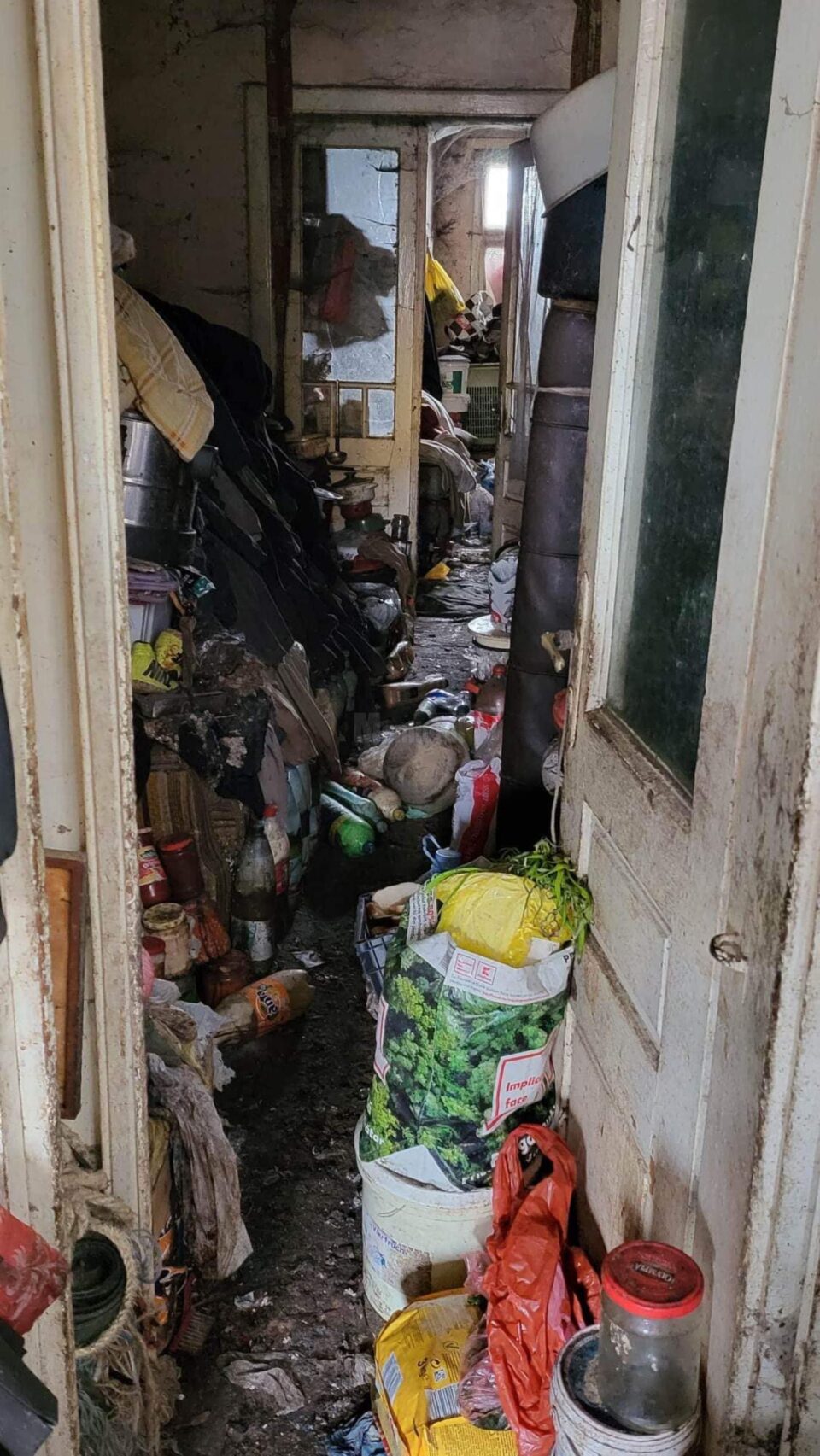 Imagini de cosmar gasite la fata locului