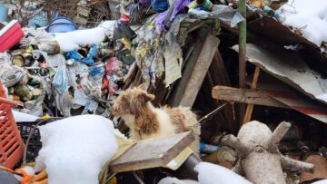 Bătrân scos dintr-o casă înconjurată de mormane de gunoaie: ”Mizerie, boală, hoit, jeg, viermi, fecale, geamuri bătute în cuie”