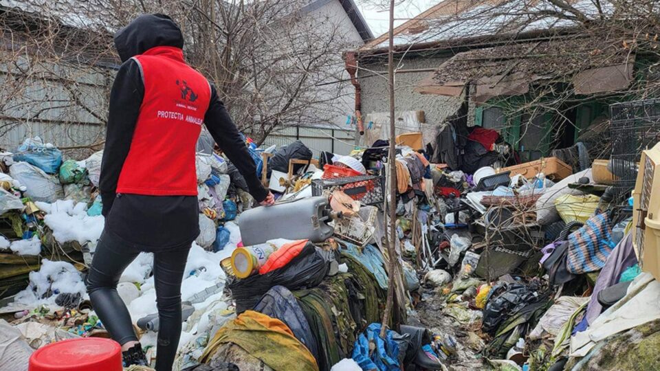 Bătrân scos dintr-o casă înconjurată de mormane de gunoaie: ”Mizerie, boală, hoit, jeg, viermi, fecale, geamuri bătute în cuie”