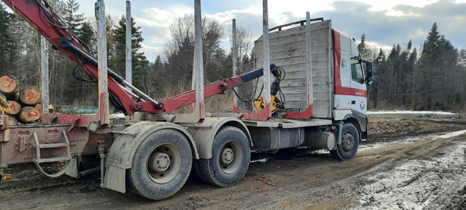 Autoutilitară de 30.000 de euro confiscată după interceptarea unui transport ilegal de materiale lemnoase de Garda Forestieră și Jandarmerie