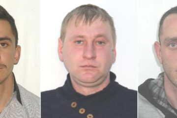 Dumitru Verdiș, Cătălin Dănuț Pâțu și Andrei Leuștean