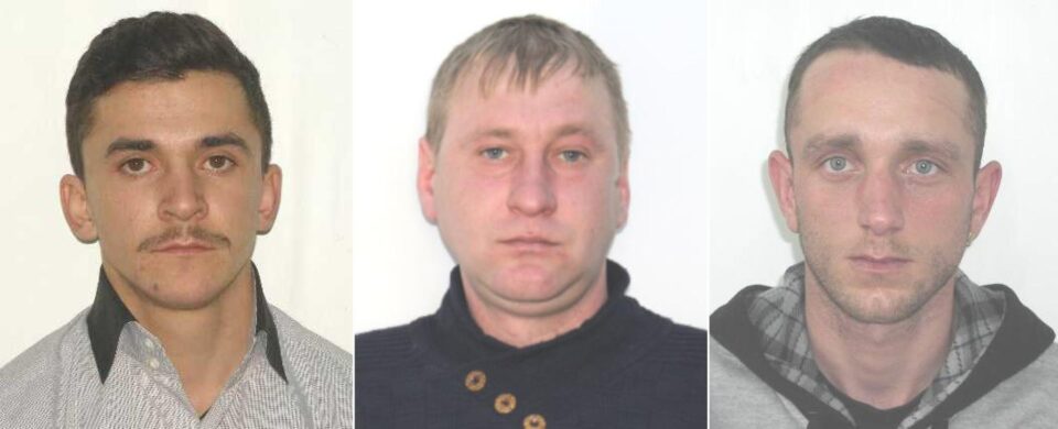 Dumitru Verdiș, Cătălin Dănuț Pâțu și Andrei Leuștean