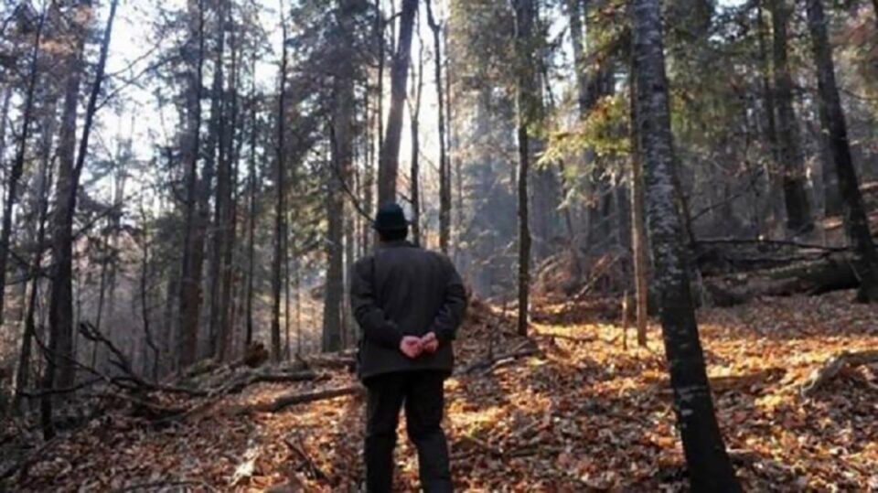 Un dosar în care au fost trimiși în judecată un șef de ocol și alți silvicultori, clasat prin prescriere Un dosar în care au fost trimiși în judecată un șef de ocol și alți silvicultori, clasat prin prescriere