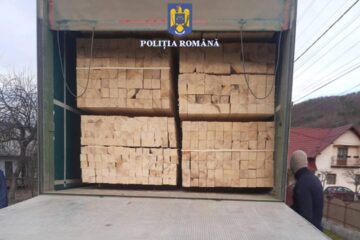 Autotrenul cu cherestea depistat la Mălini