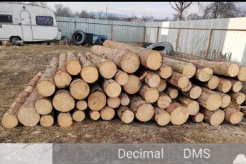 Bușteni de rășinoase, pentru care nu există documente justificative care să ateste proveniența legală, depistați la punctul de lucru și în parchetele de exploatare ale agentului economic